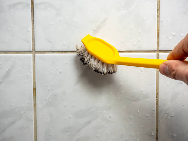 Best Localized Mold Remediation (e.g., coastal areas, humid climates) in Gaithersburg, MD