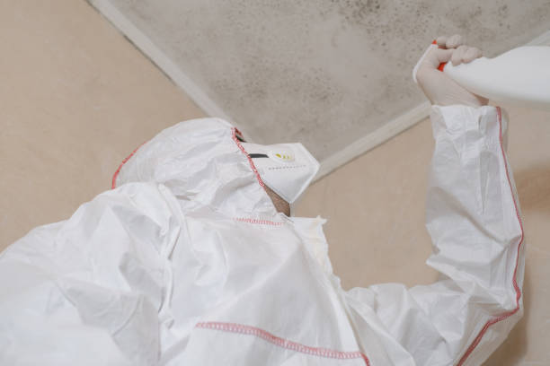 Best HVAC Mold Remediation in Gaithersburg, MD